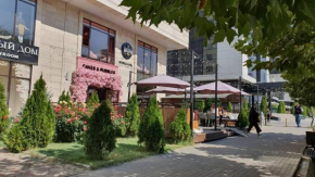 Comfort apartment in the center Bishkek